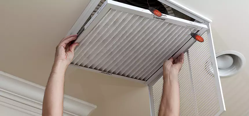 Preventive Cockroach-Proofing for Ducts in Bellaire