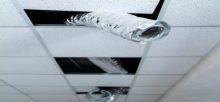 Affordable HVAC Sanitizing After Pest Removal in Bellaire