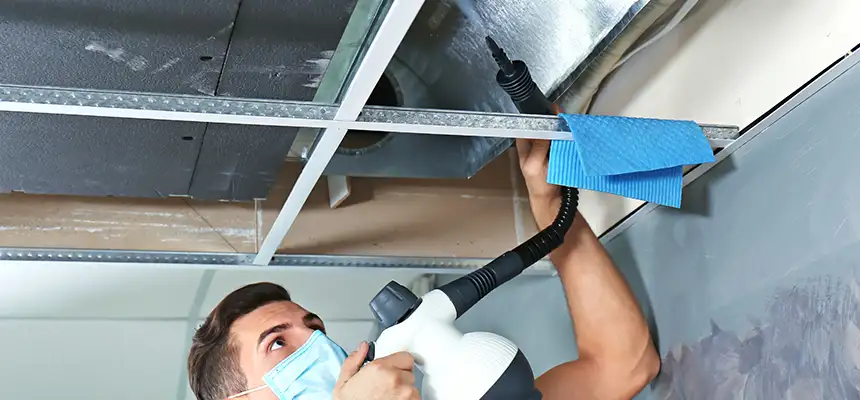 Our Air Duct Rodent Removal Services in Bellaire, TX