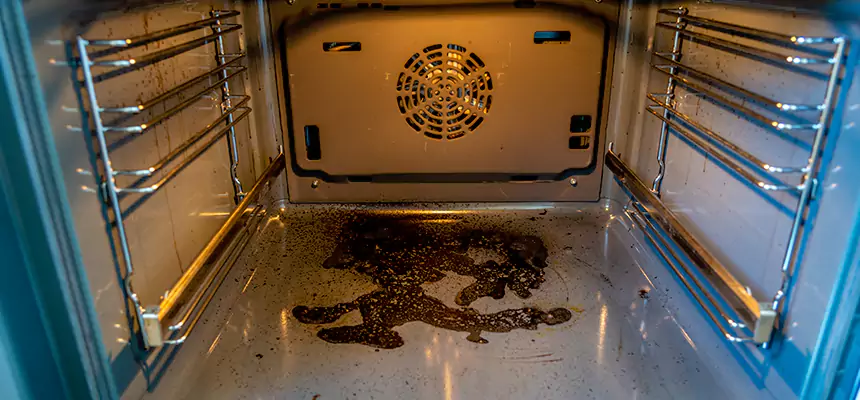 Our Dryer Vent Mold Cleaning Services in Bellaire, TX