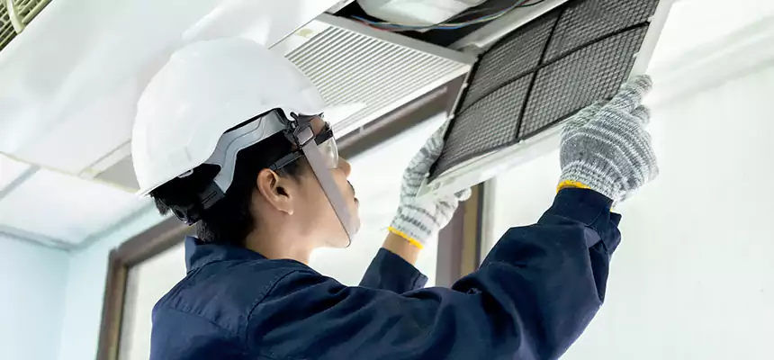 Our Mold & Mildew Removal from Air Ducts Services in Bellaire, TX