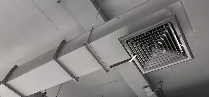 Our Rodent Droppings In Vents Services in Bellaire, TX