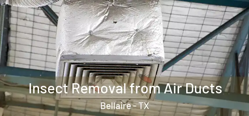  Insect Removal from Air Ducts Bellaire - TX