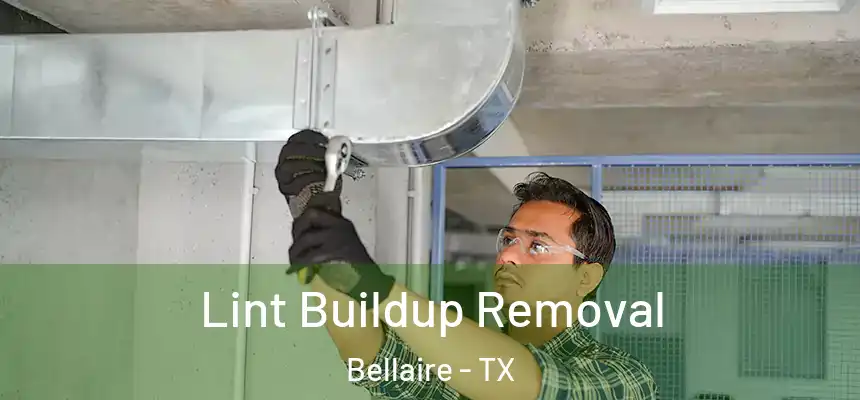  Lint Buildup Removal Bellaire - TX
