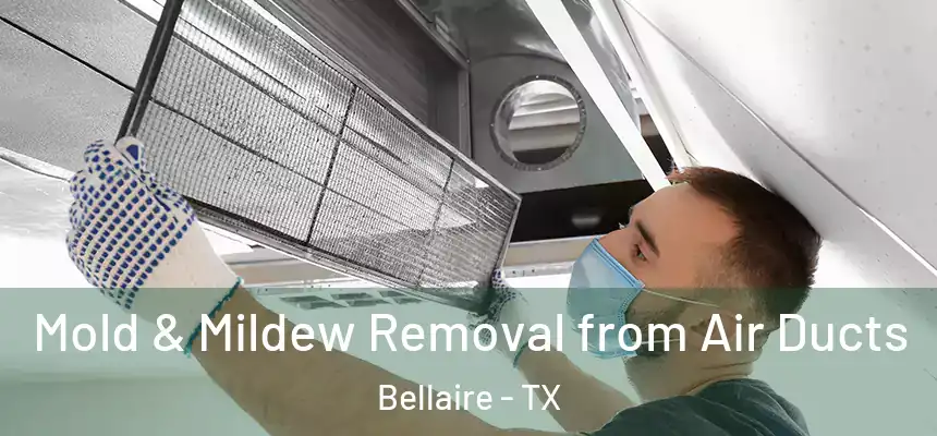  Mold & Mildew Removal from Air Ducts Bellaire - TX