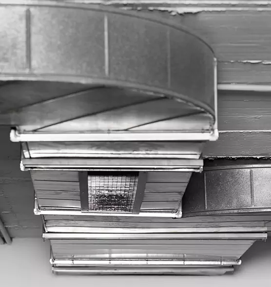 Professional Air Duct Pest Removal in Bellaire, TX