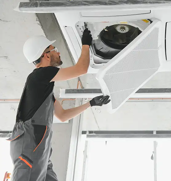 About Air Duct Rodent Removal in Bellaire, TX