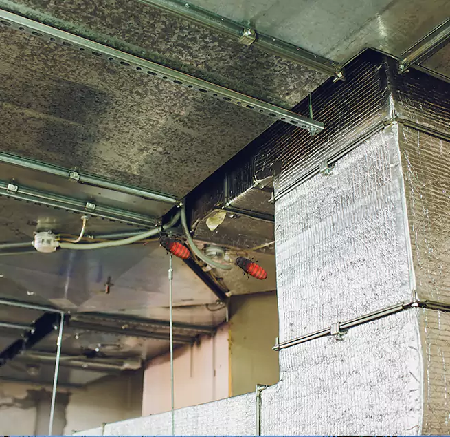 Why Homeowners & Businesses Trust Us in Bellaire, TX?