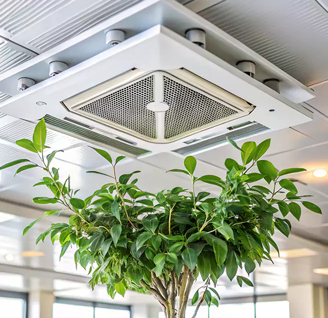 Why Homeowners & Businesses Trust Us in Bellaire, TX